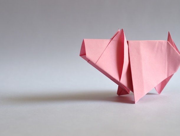 Imágen de un proyecto